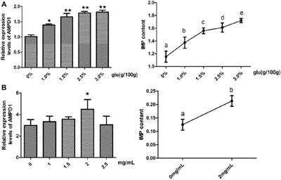 Molecular characterization of adenosine monophosphate deaminase 1 and its regulatory mechanism for inosine monophosphate formation in triploid crucian carp